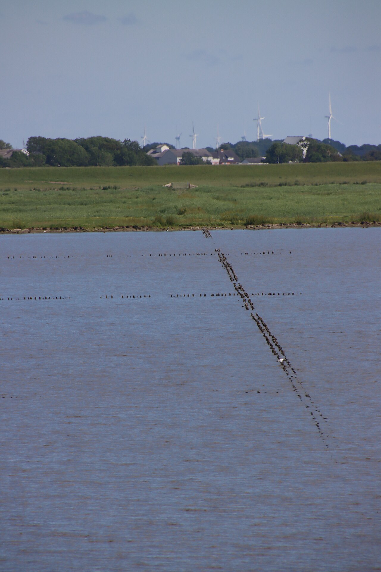 Land reclamation