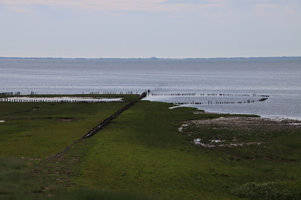 Land reclamation