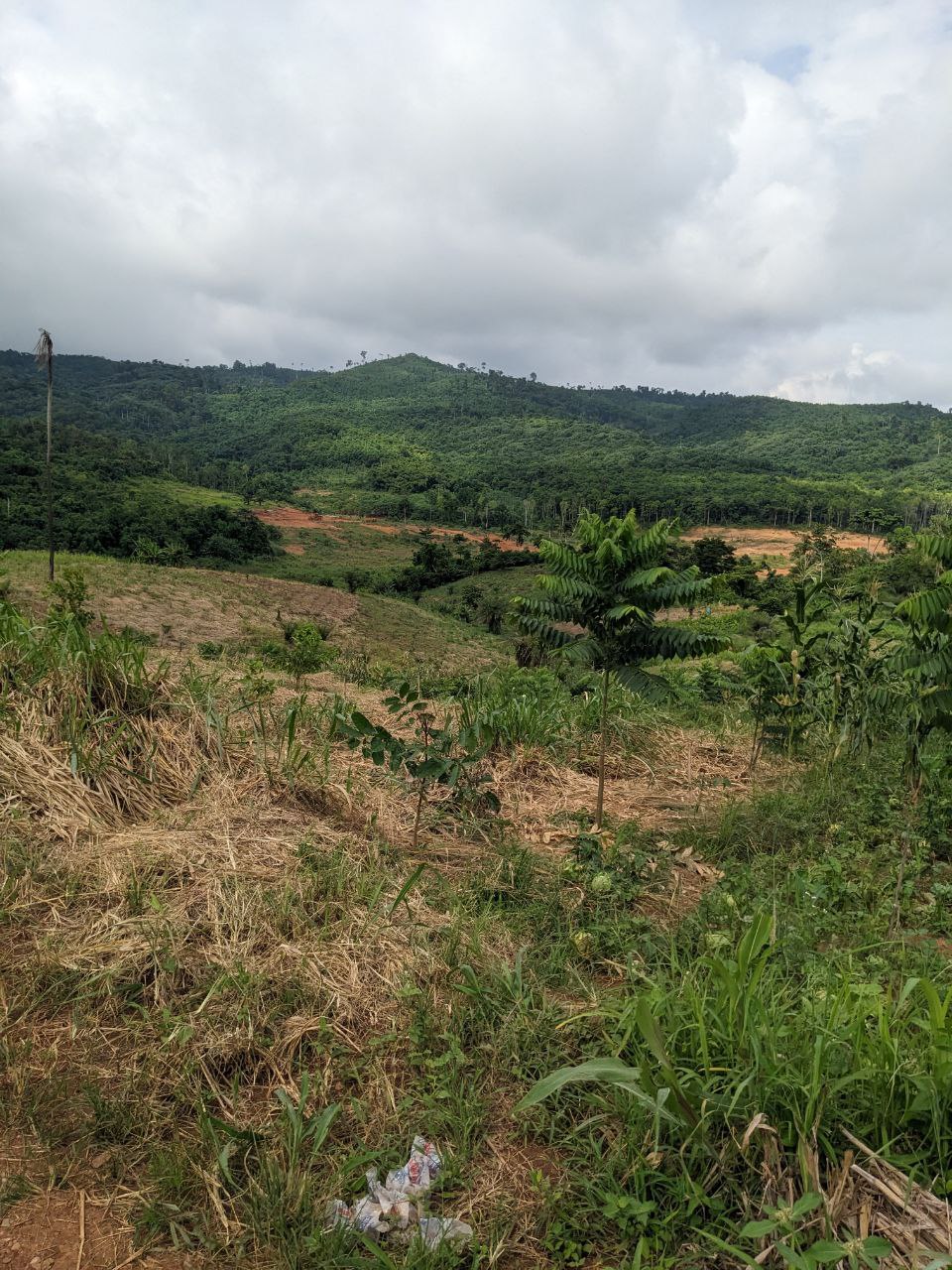 Land reclamation