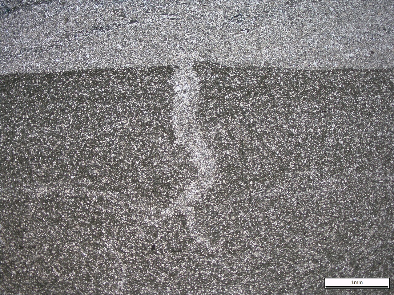 Mudcrack