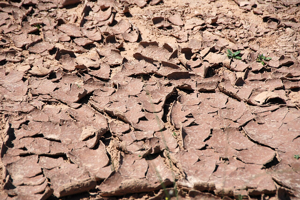 Mudcrack