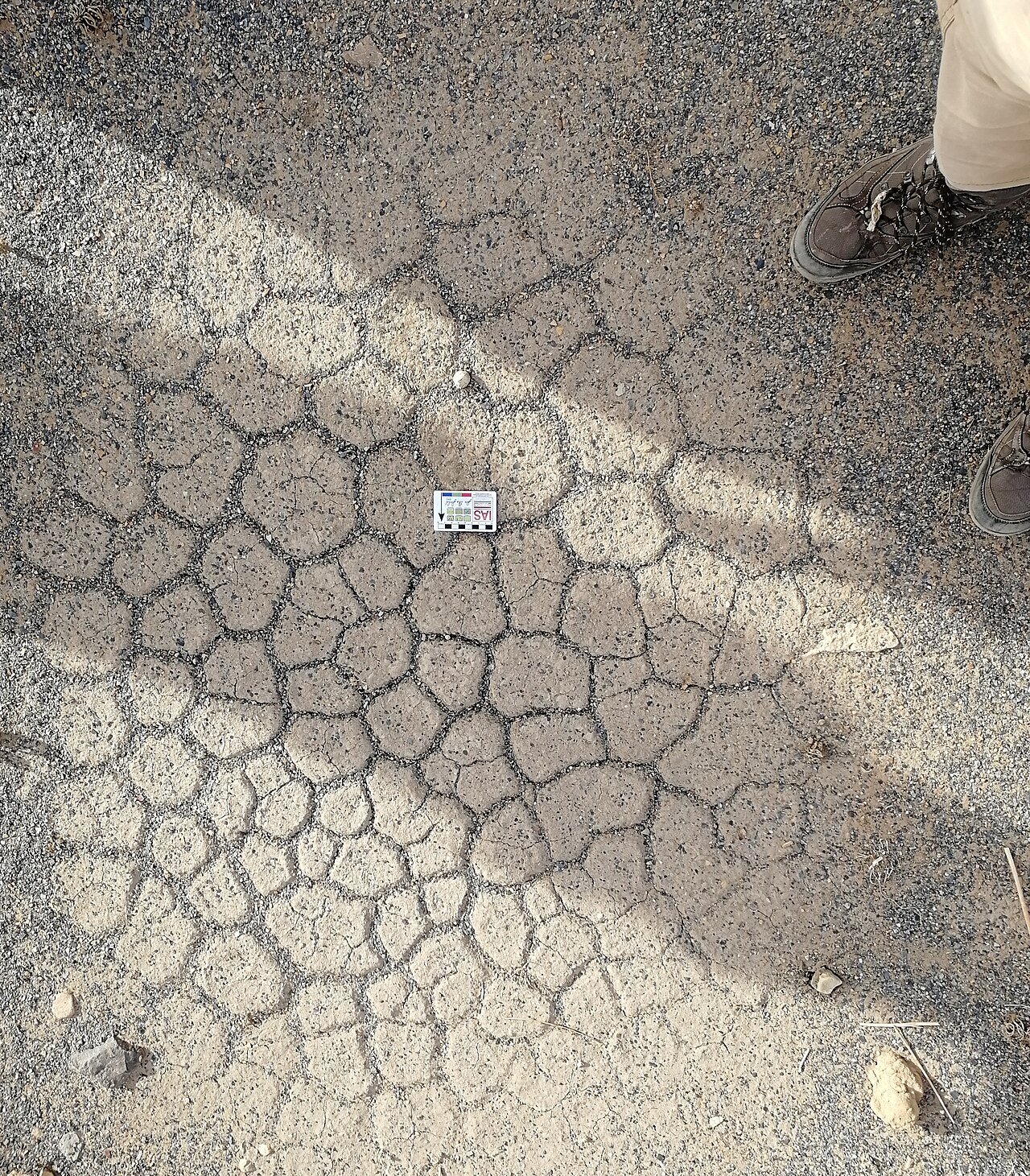 Mudcrack