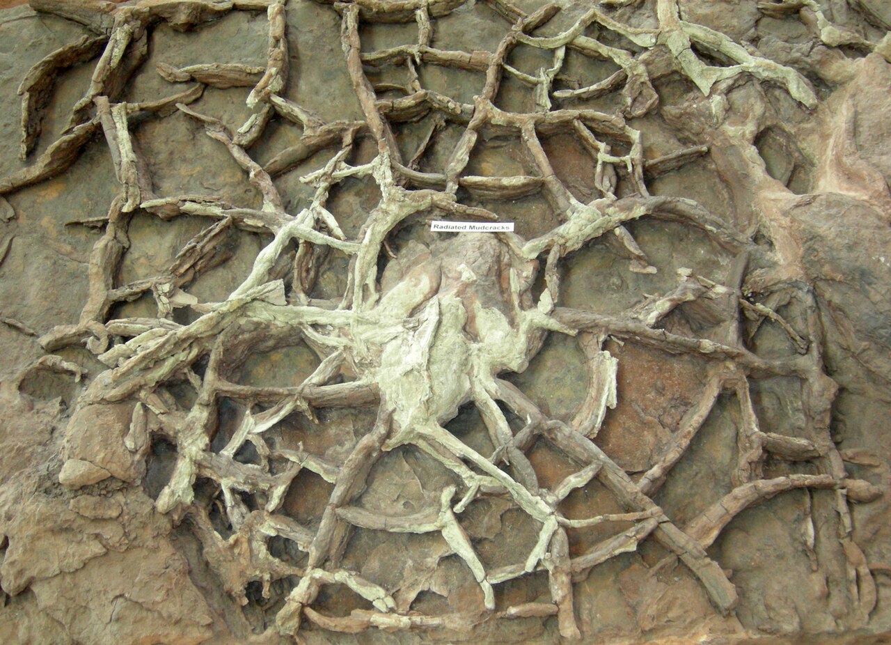 Mudcrack