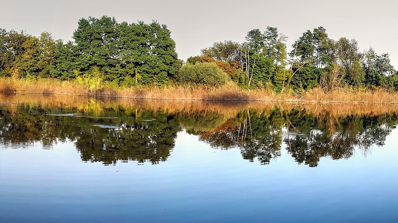 Oxbow lake