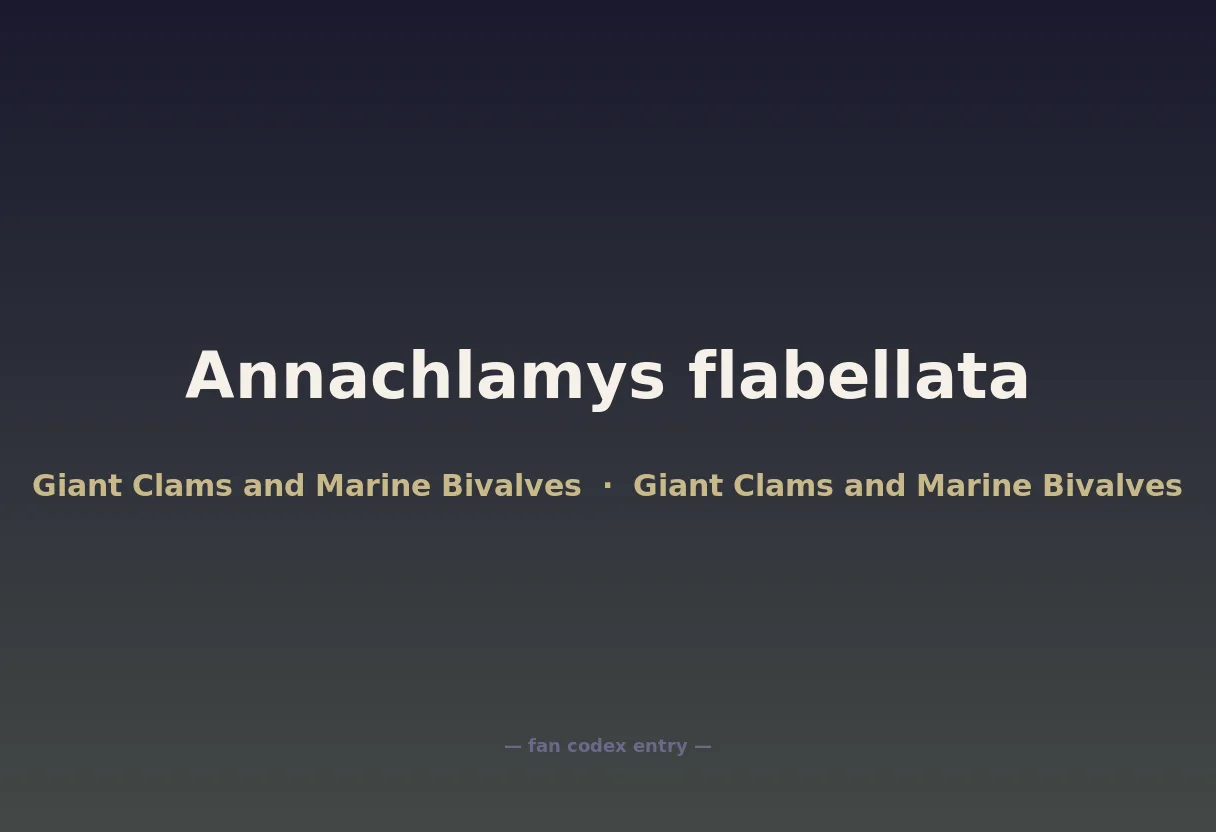 Annachlamys flabellata