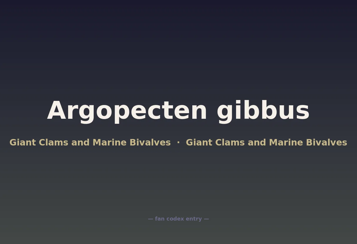 Argopecten gibbus
