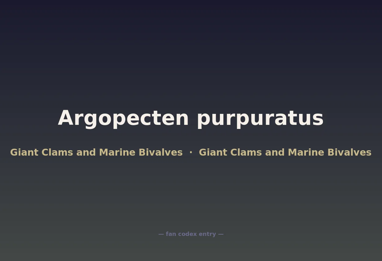 Argopecten purpuratus
