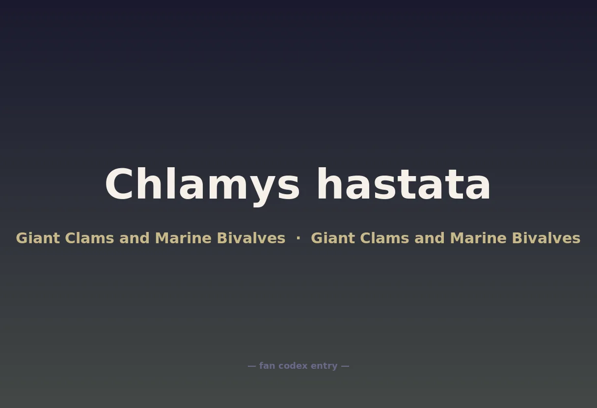 Chlamys hastata
