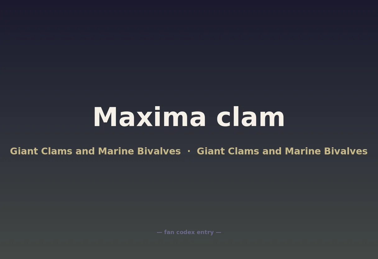 Maxima clam