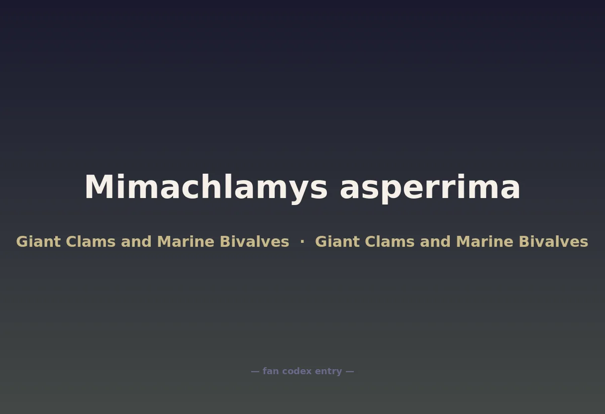 Mimachlamys asperrima