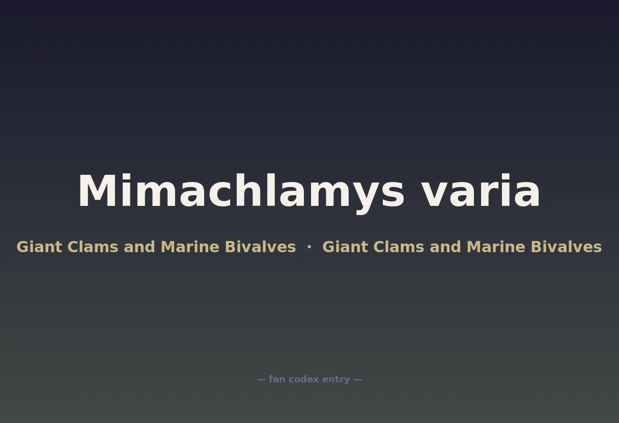Mimachlamys varia