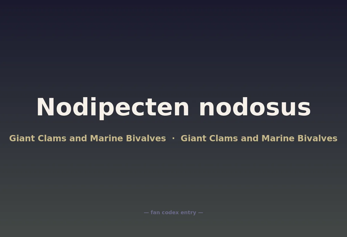 Nodipecten nodosus