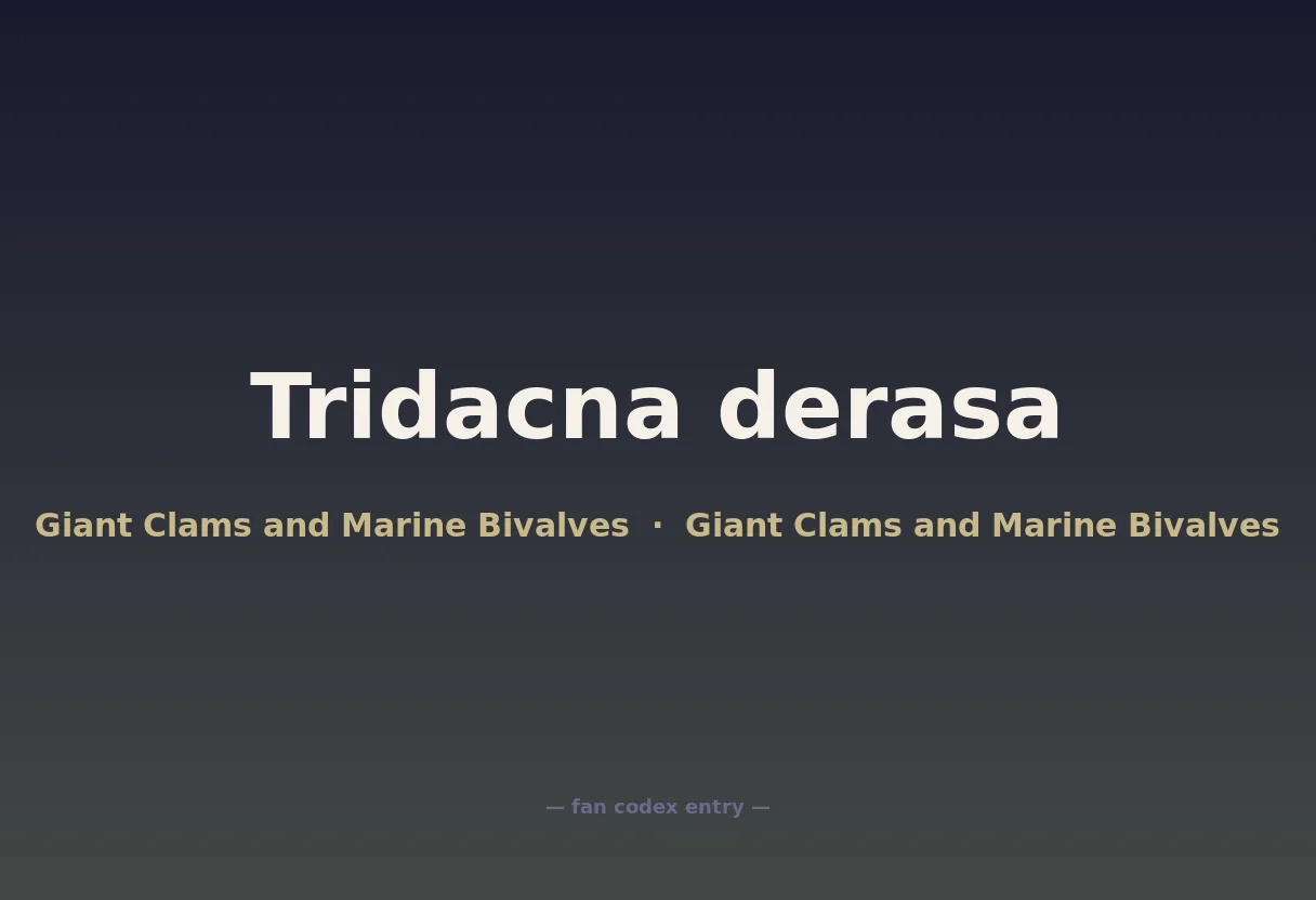 Tridacna derasa