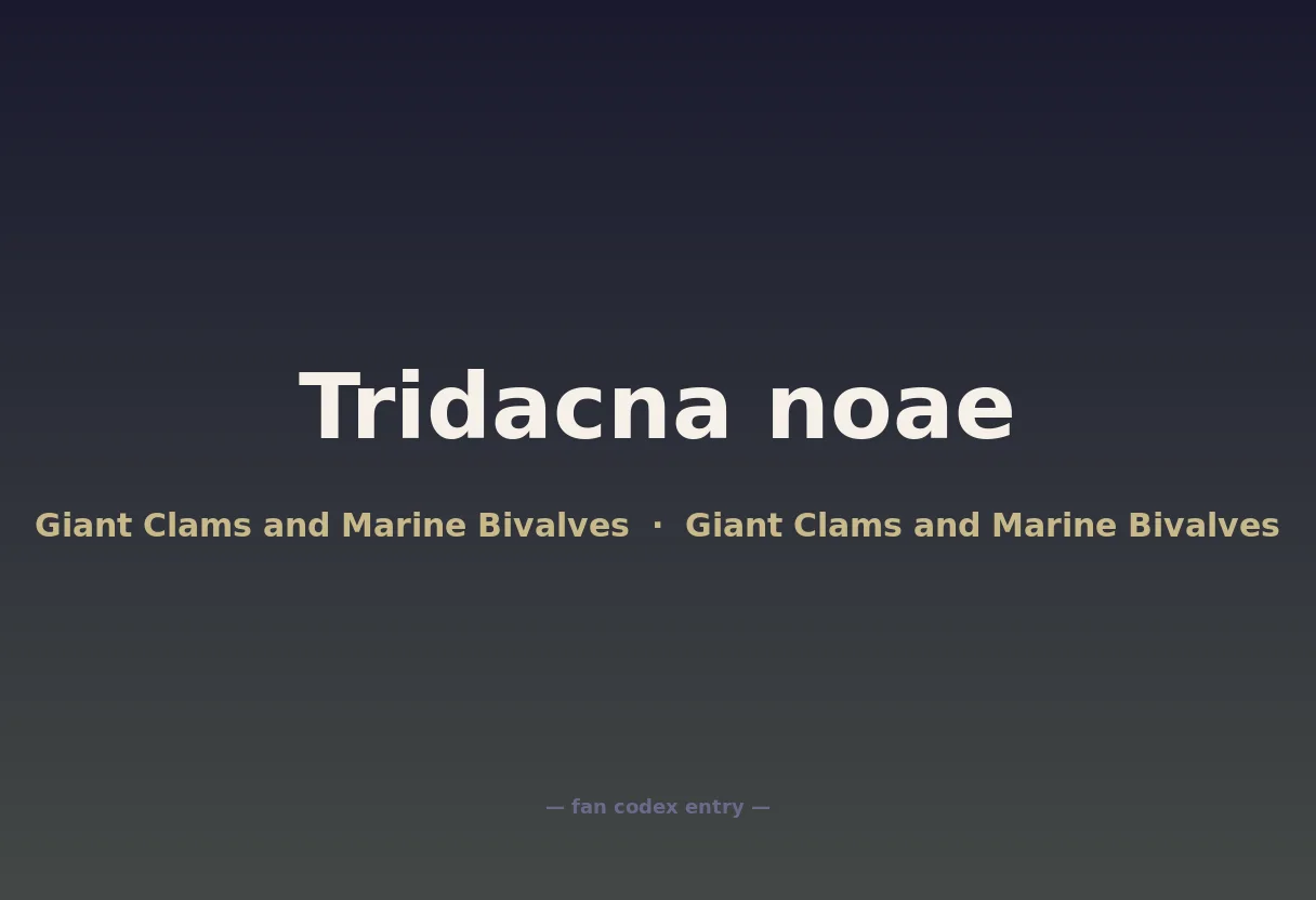Tridacna noae