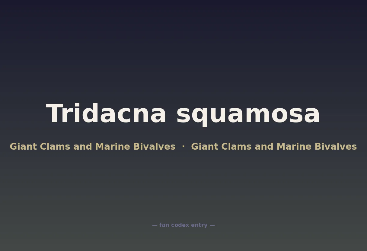 Tridacna squamosa