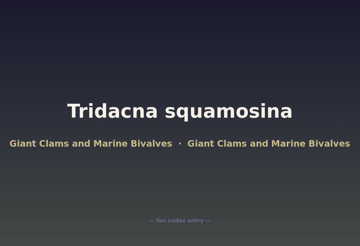 Tridacna squamosina