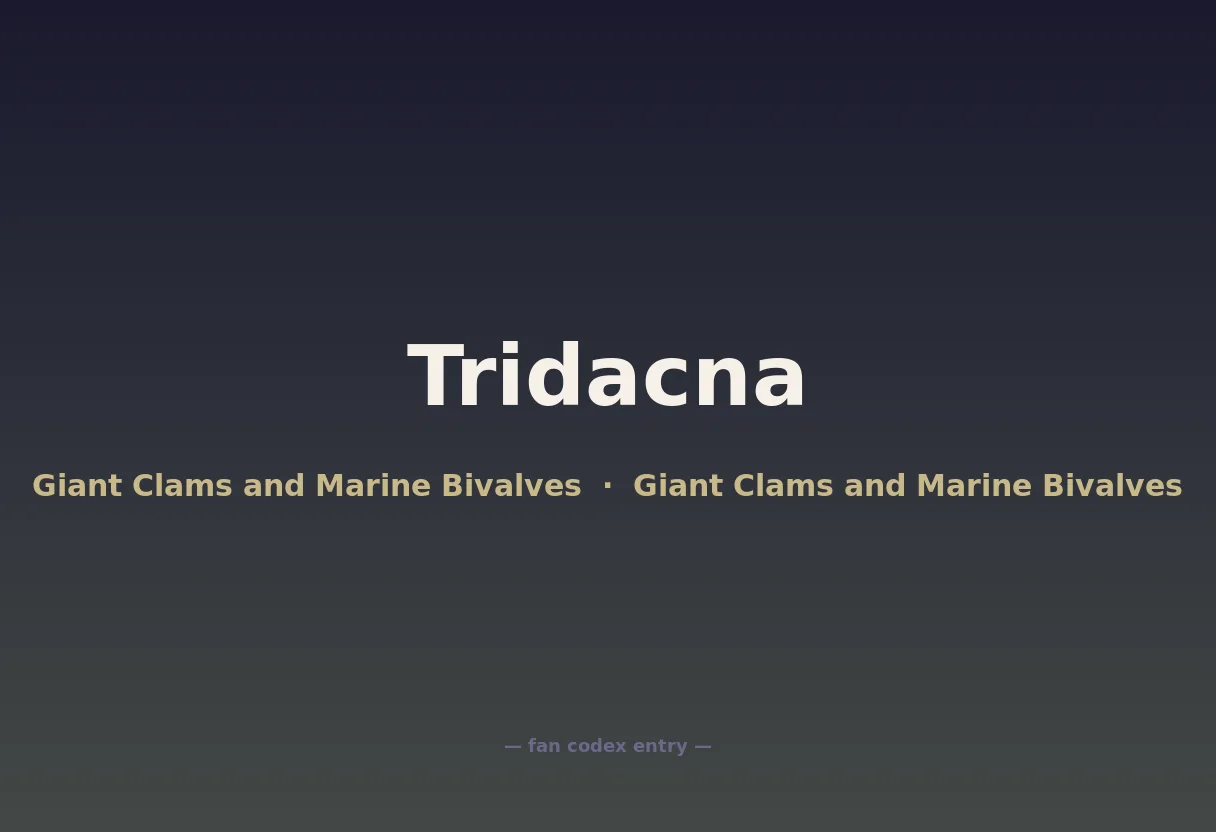 Tridacna