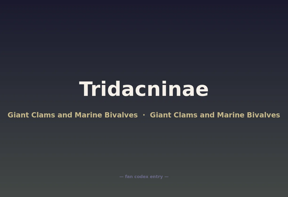 Tridacninae
