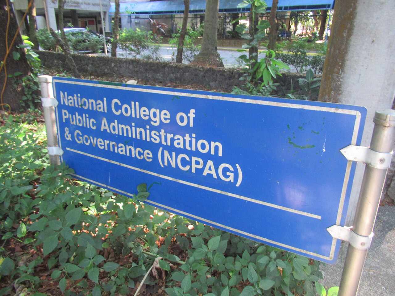 Public administration