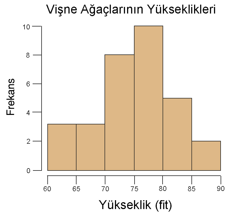 Histogram