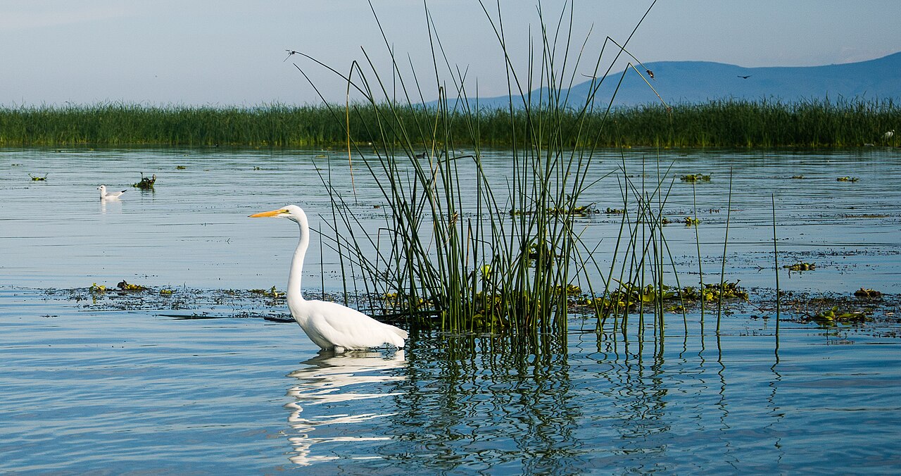Lake Chapala