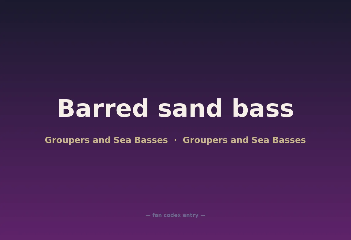 Barred sand bass