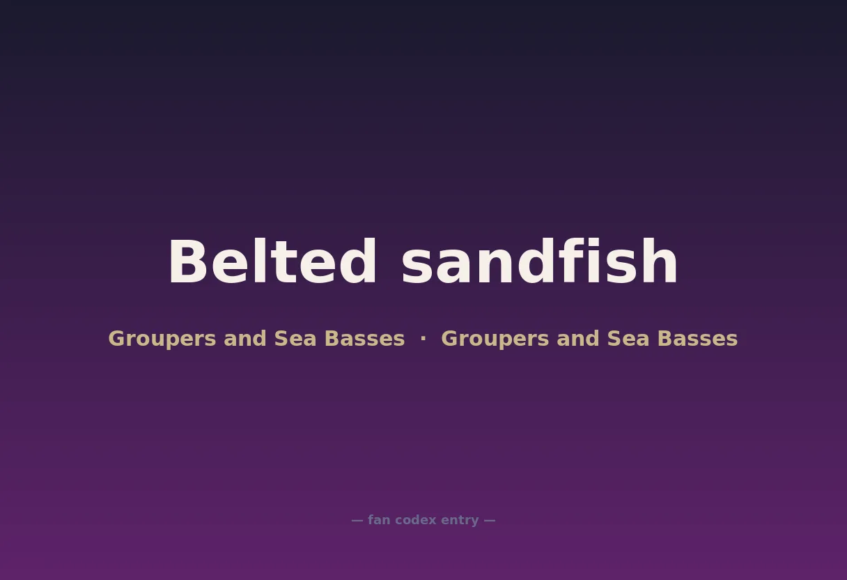 Belted sandfish