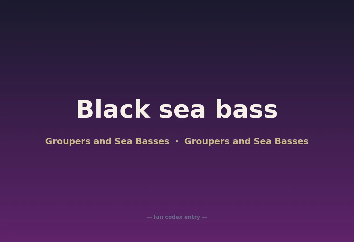 Black sea bass