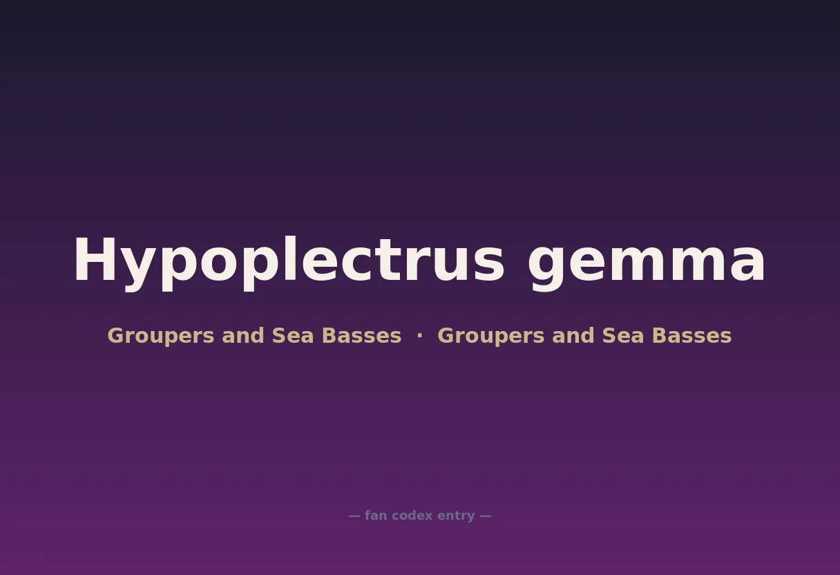 Hypoplectrus gemma