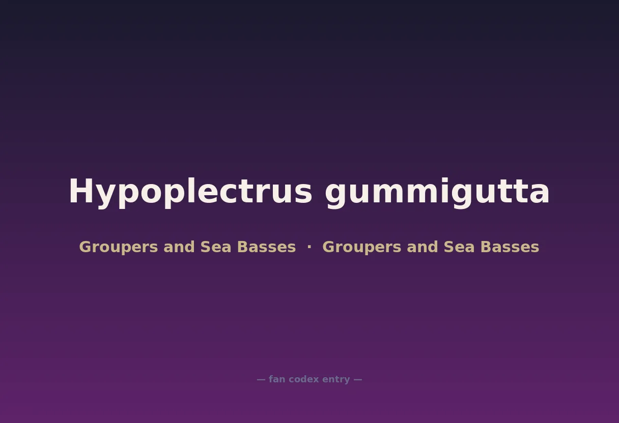 Hypoplectrus gummigutta
