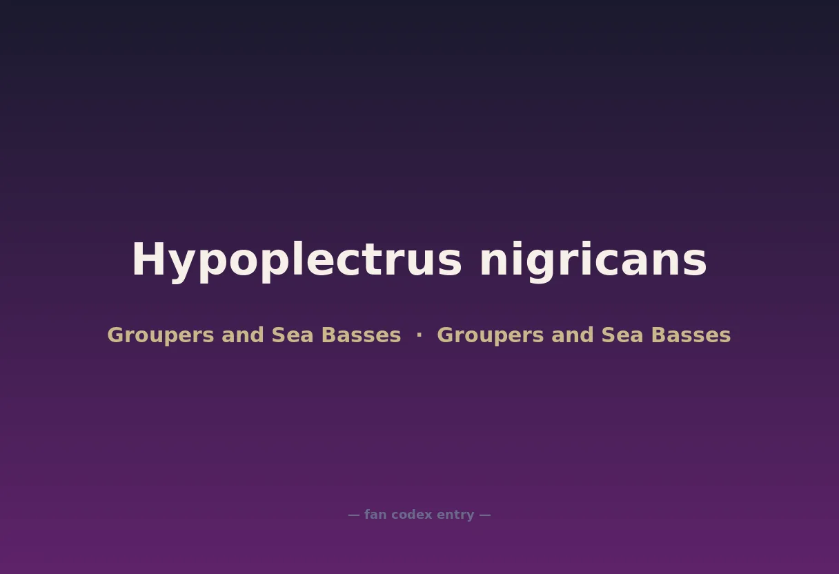 Hypoplectrus nigricans