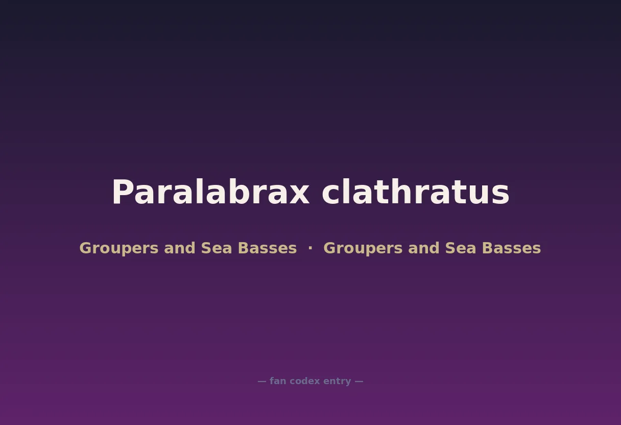 Paralabrax clathratus