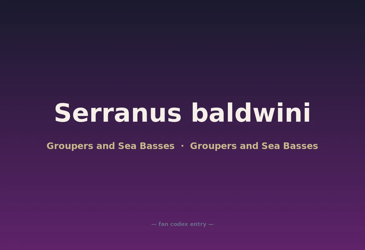 Serranus baldwini