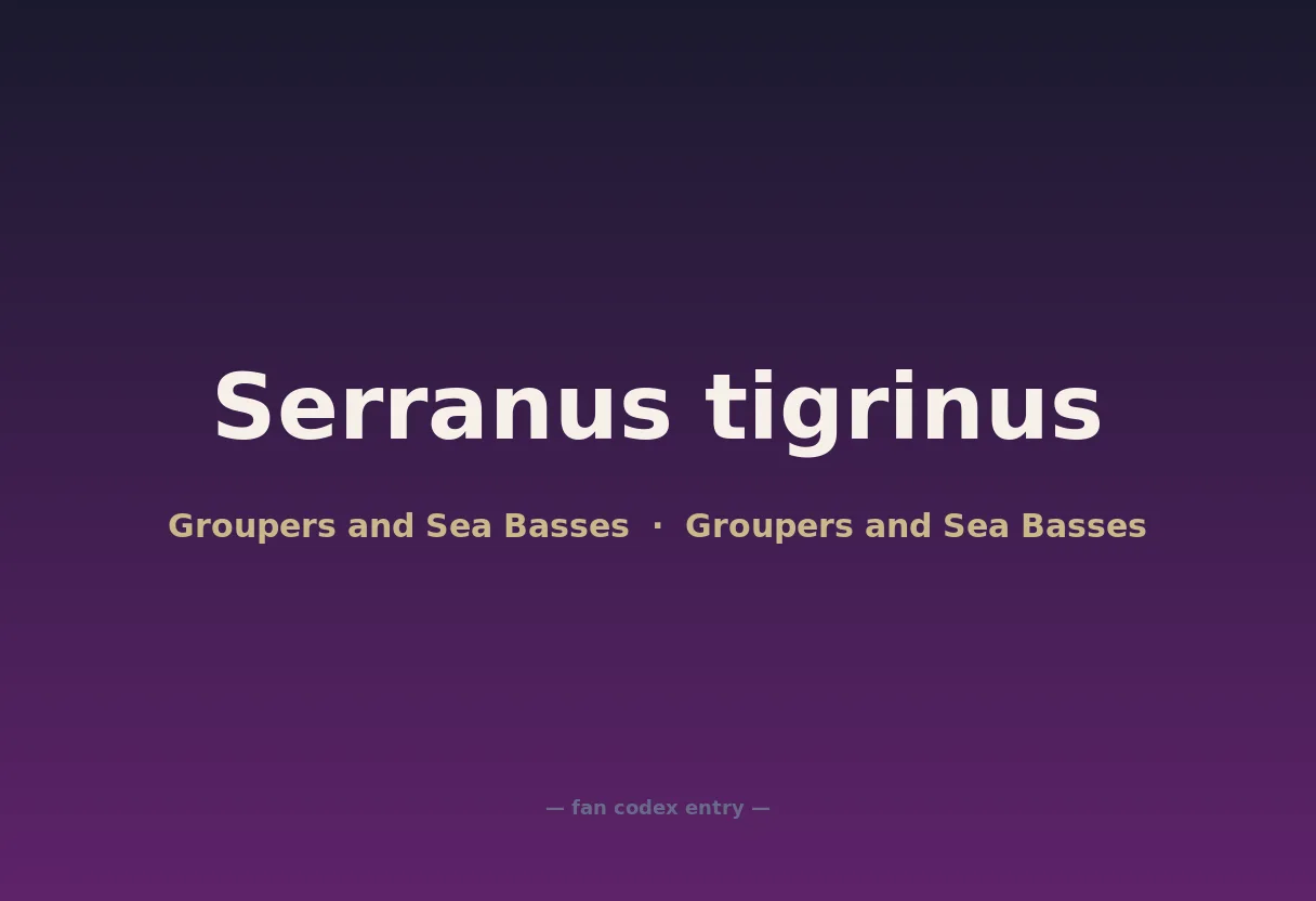 Serranus tigrinus
