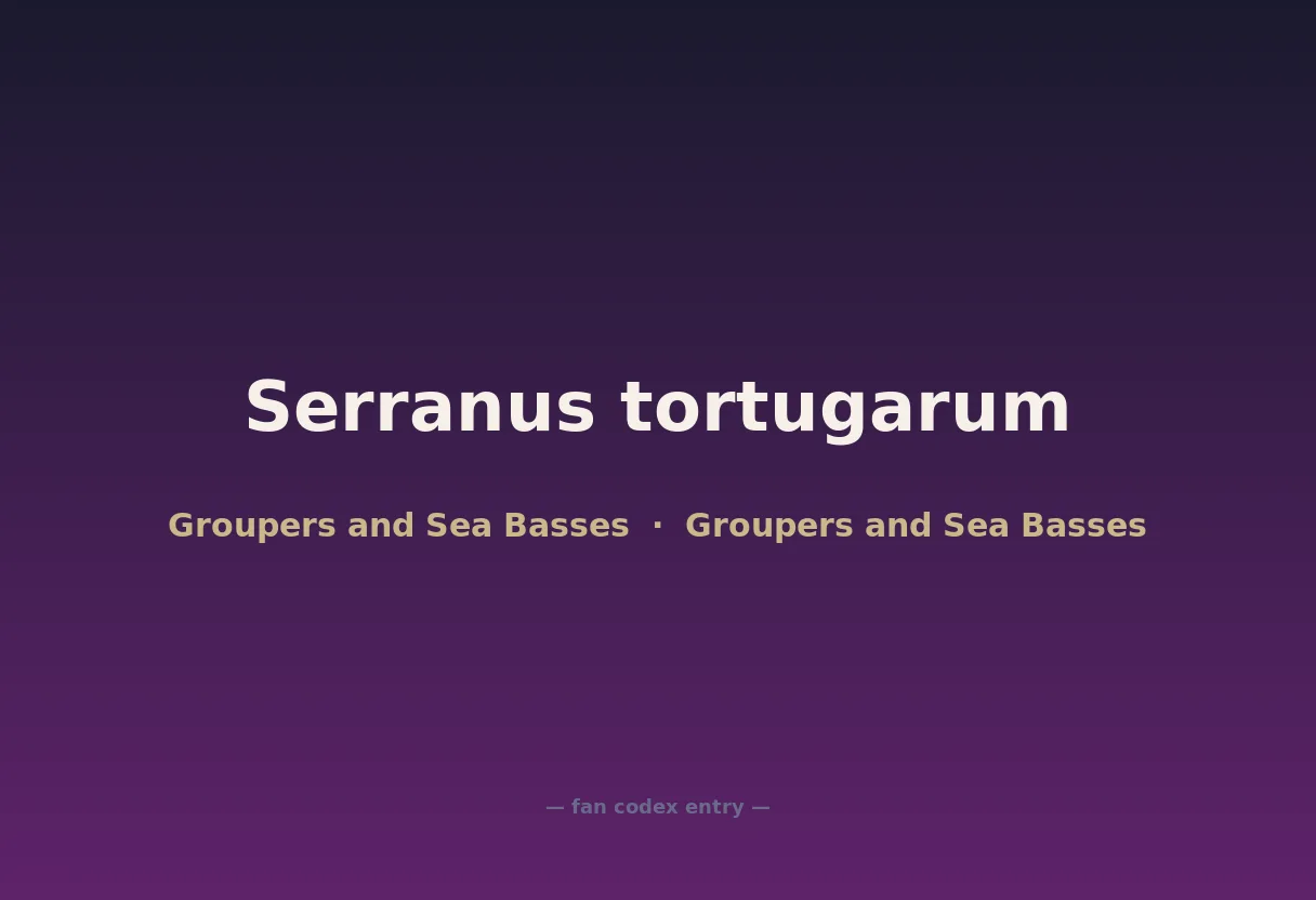 Serranus tortugarum