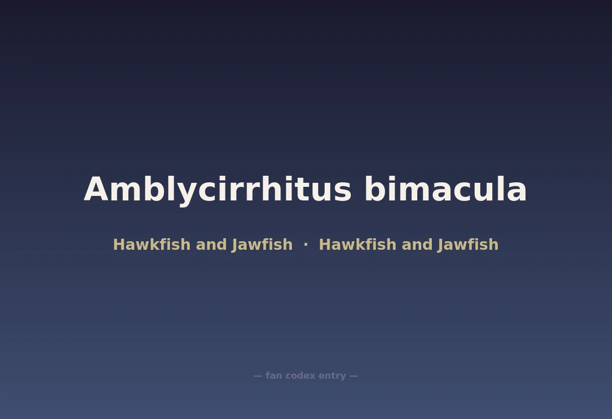 Amblycirrhitus bimacula