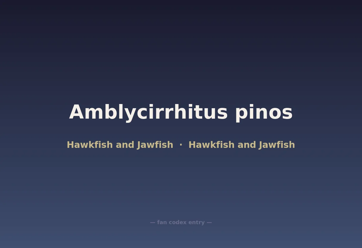 Amblycirrhitus pinos