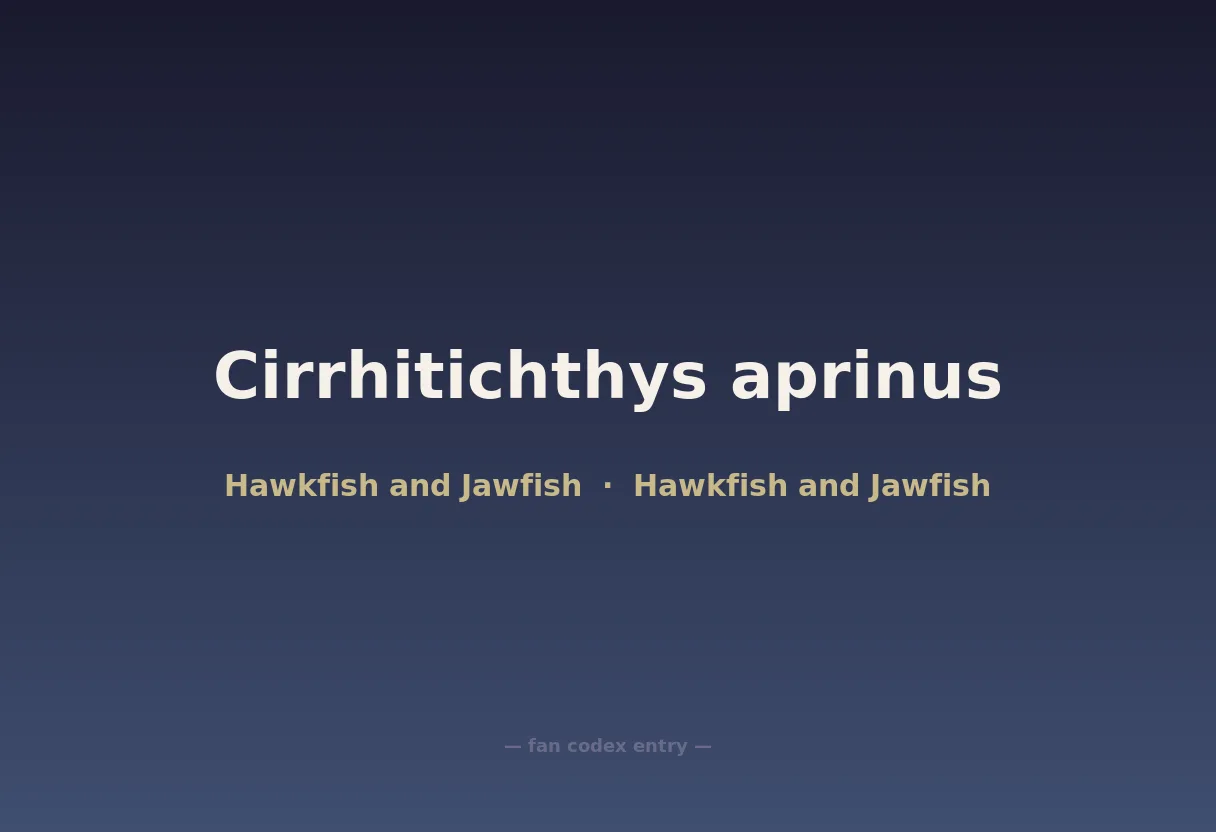 Cirrhitichthys aprinus