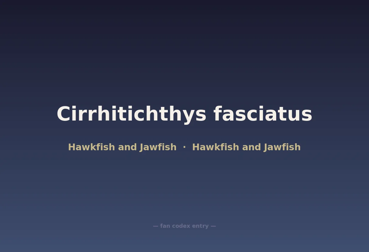 Cirrhitichthys fasciatus
