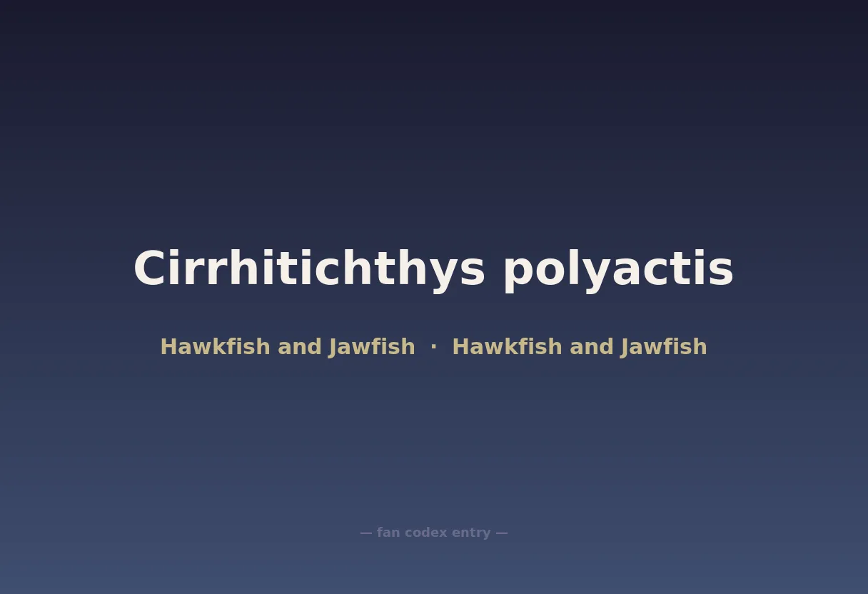 Cirrhitichthys polyactis