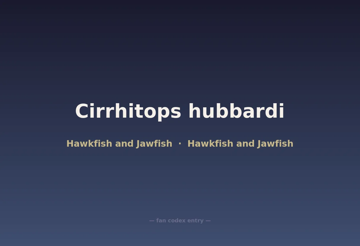 Cirrhitops hubbardi