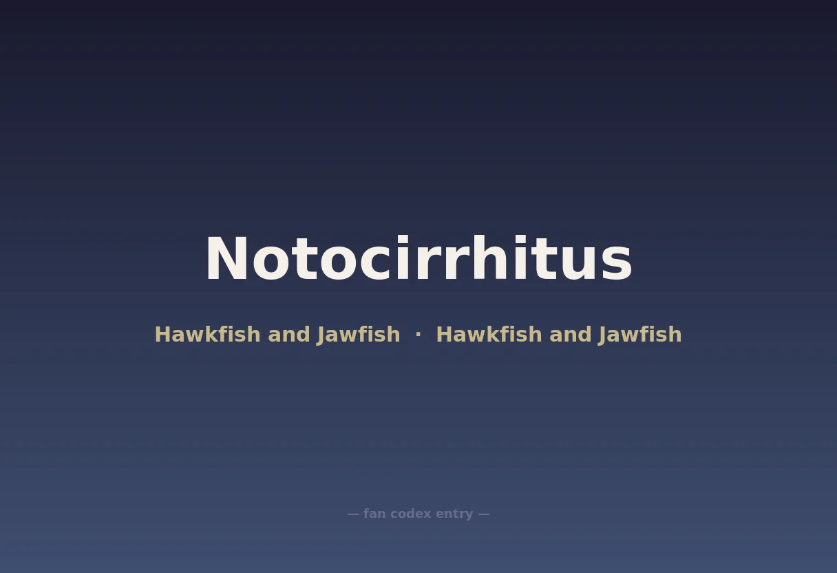 Notocirrhitus