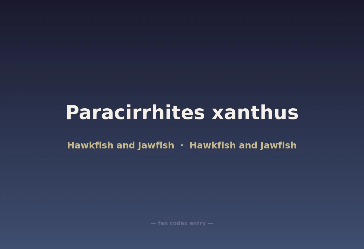 Paracirrhites xanthus