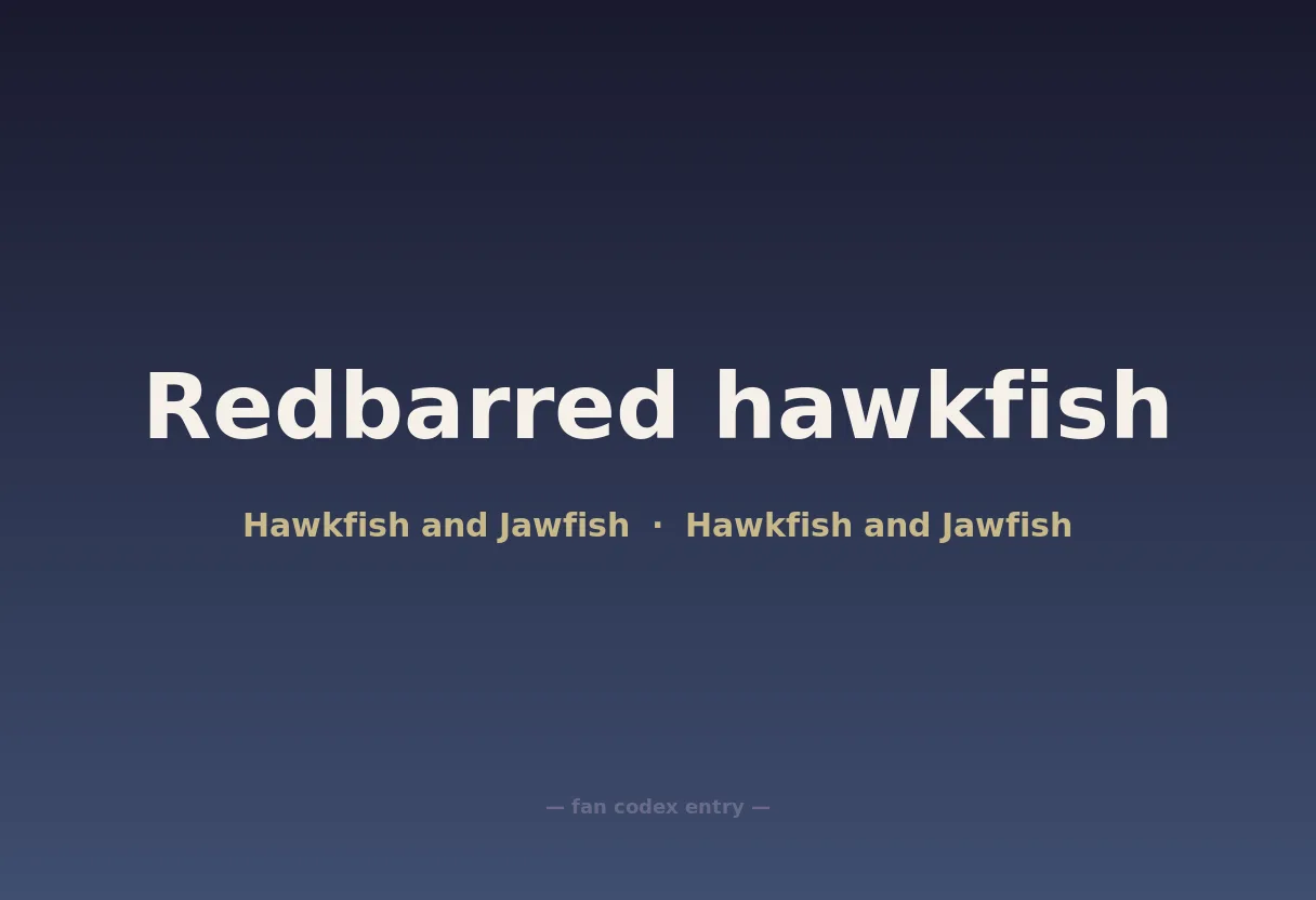 Redbarred hawkfish