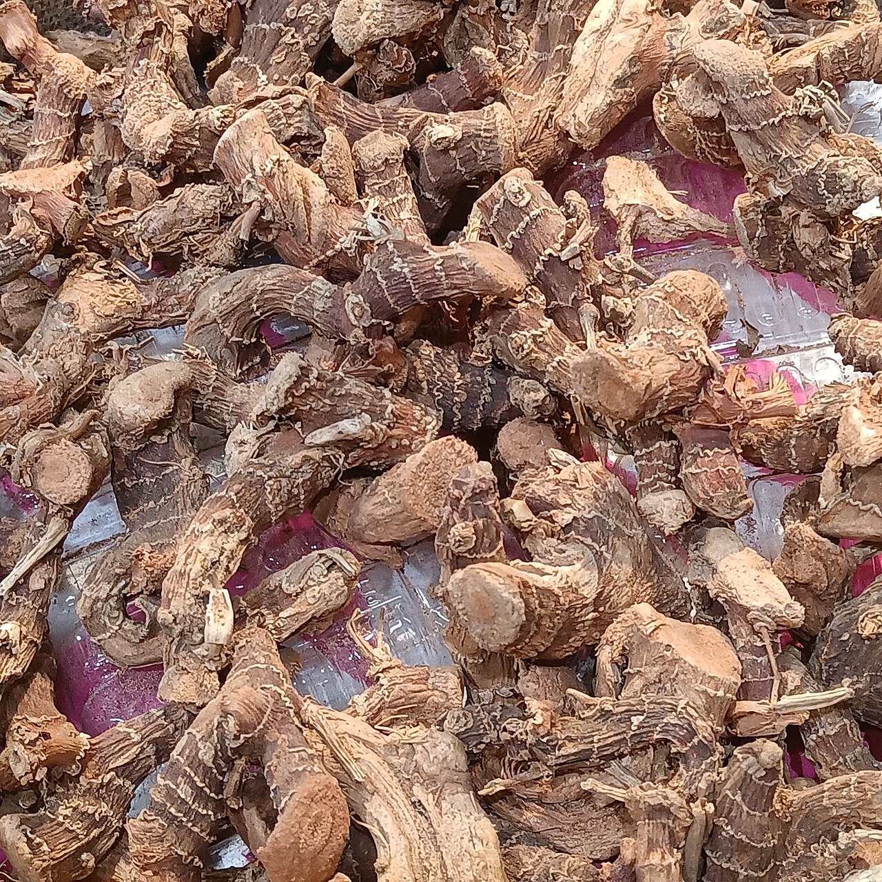 Dried galangal