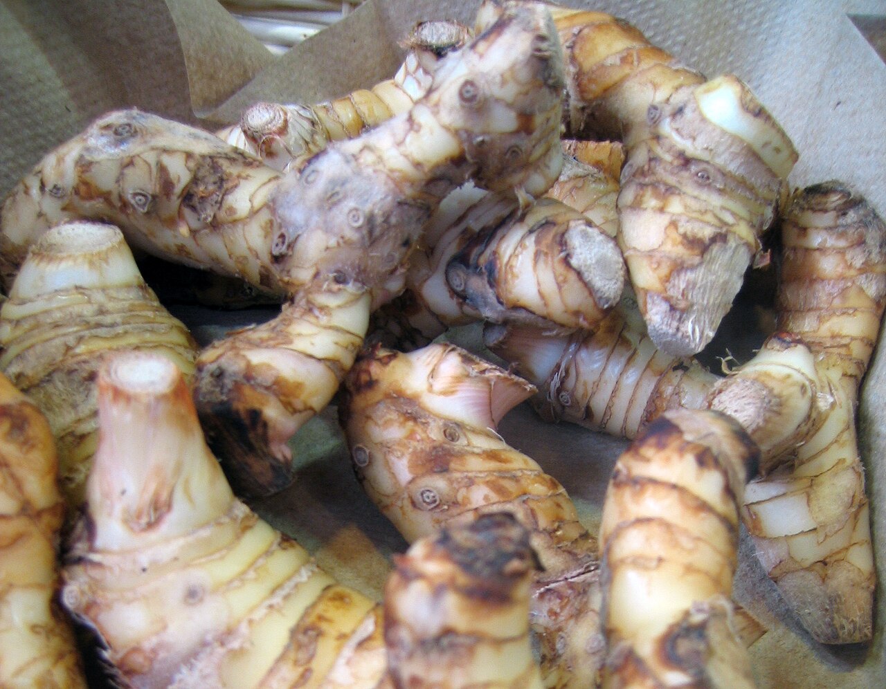 Galangal