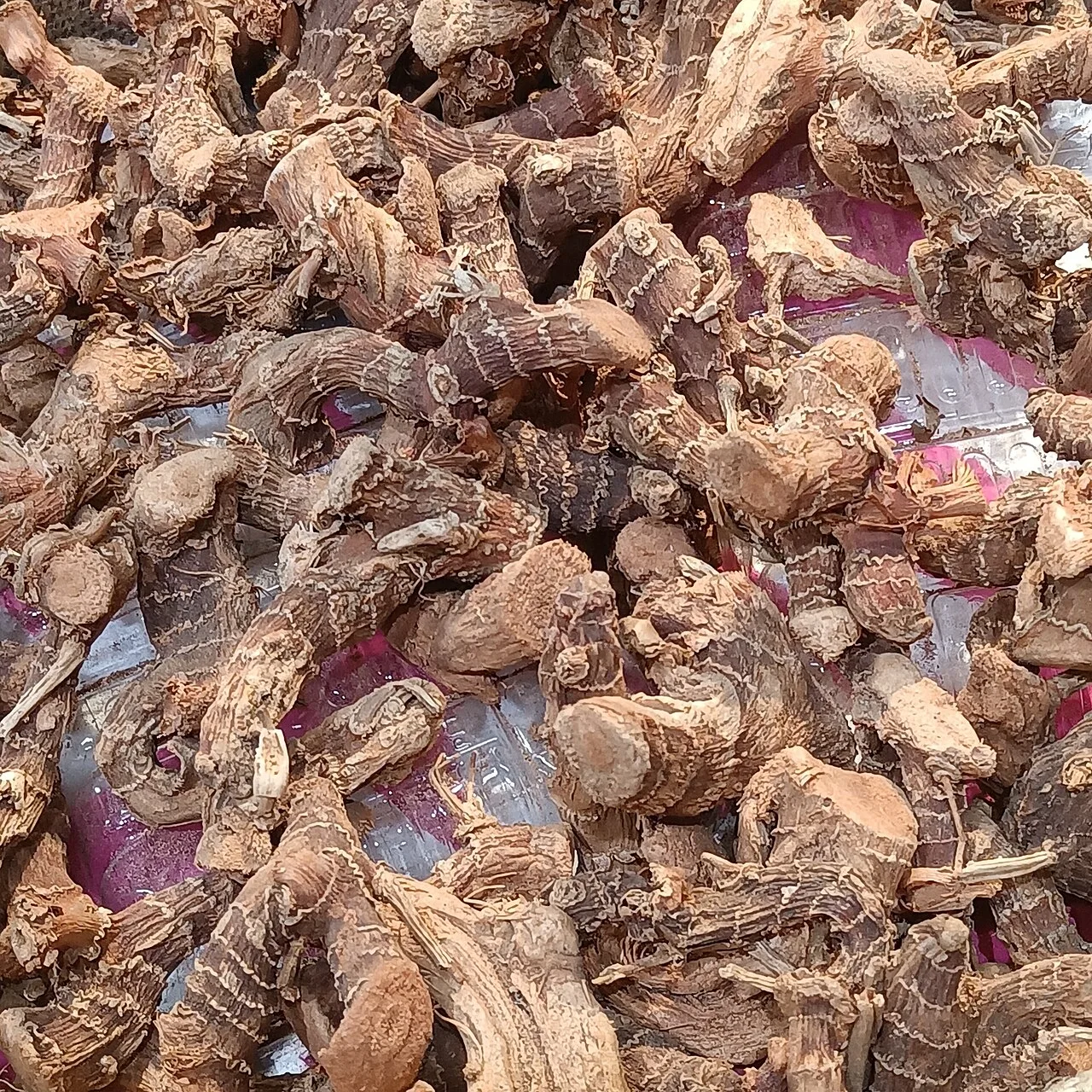 Galangal