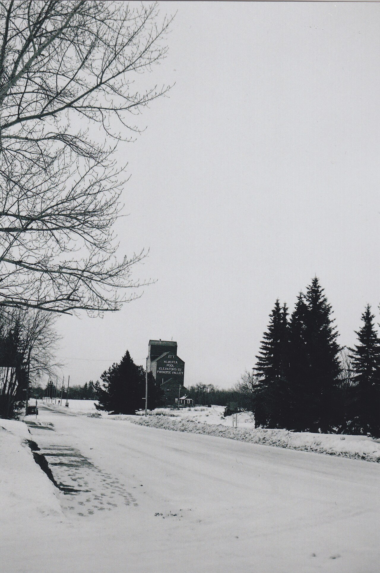 Paradise Valley - Grain Elevator