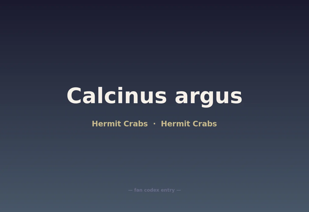 Calcinus argus