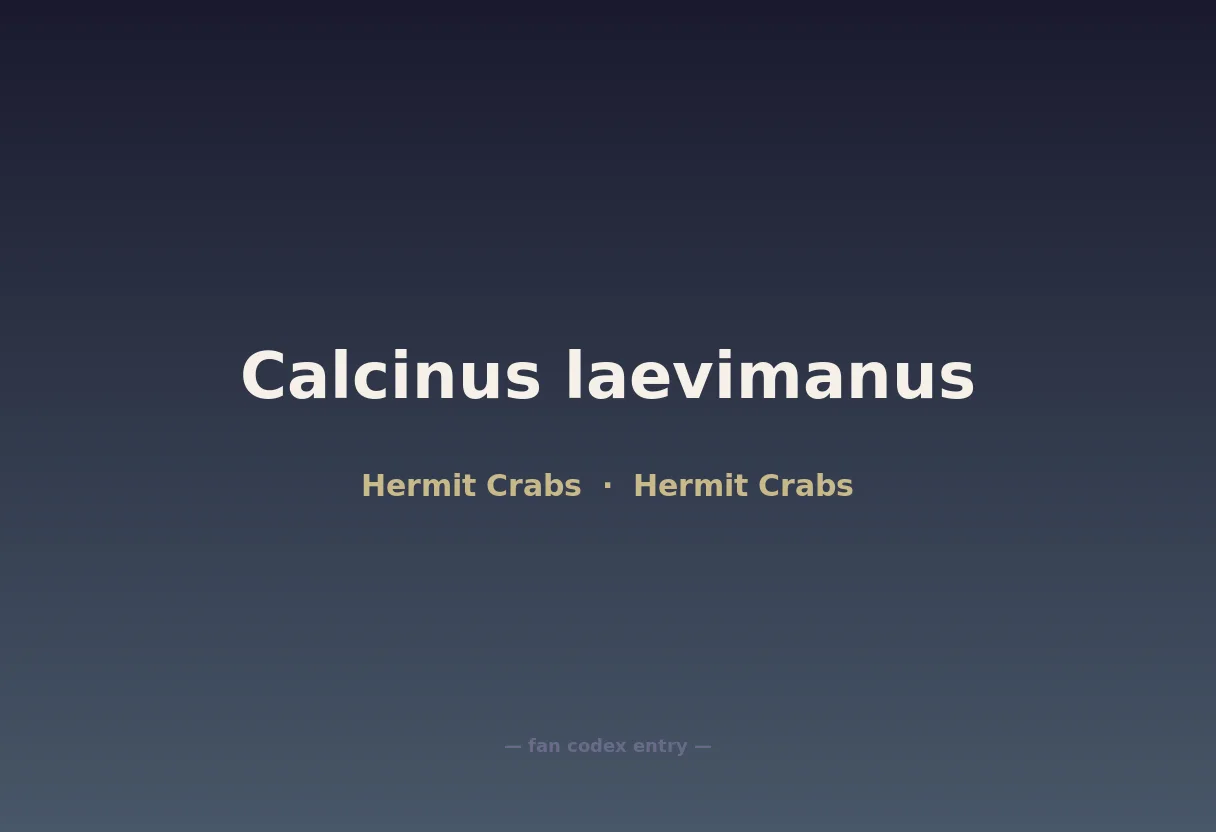 Calcinus laevimanus